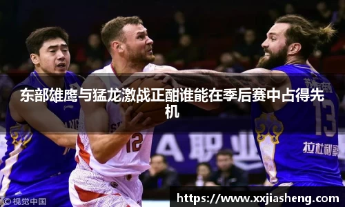 东部雄鹰与猛龙激战正酣谁能在季后赛中占得先机